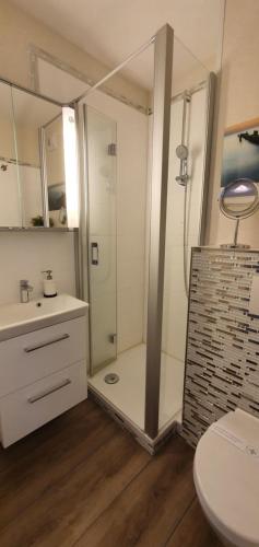 海利根港Strandläufer-G13的带淋浴、盥洗盆和卫生间的浴室