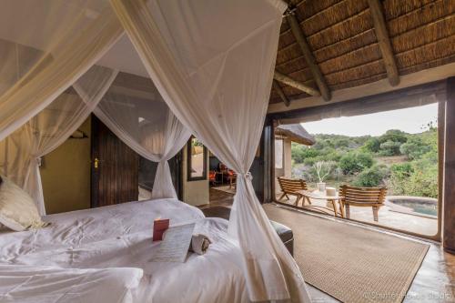 阿马卡拉保护区Safari Lodge - Amakhala Game Reserve的一间卧室配有一张床,享有游泳池的景色