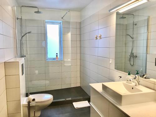 塞济斯菲厄泽汤加塔公寓酒店的一间带水槽、卫生间和镜子的浴室