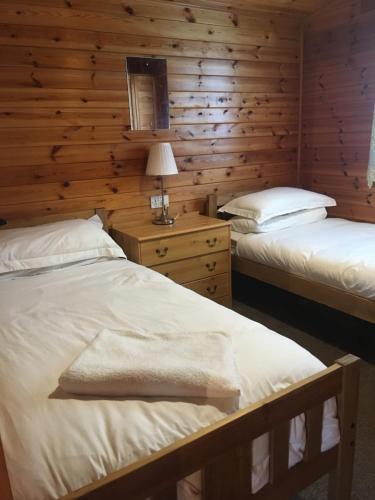 泰恩德拉姆Chalet的木墙客房的两张床