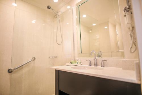 金斯敦牙买加飞马酒店 的浴室配有盥洗盆和带镜子的淋浴