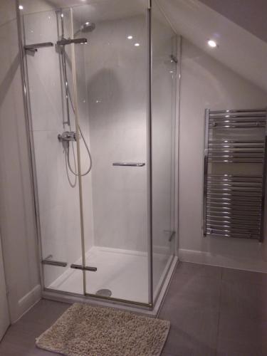 切斯特菲尔德Kneese Loft的浴室里设有玻璃门淋浴