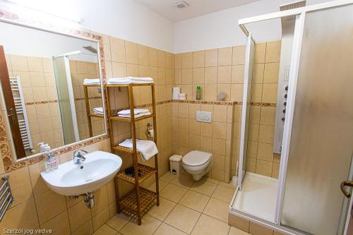 久洛格勒尼巴拉兹斯扎罗公寓的一间带水槽、卫生间和淋浴的浴室