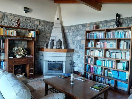 博比亚达里巴雷克萨库乡村酒店的客厅设有壁炉和书架。