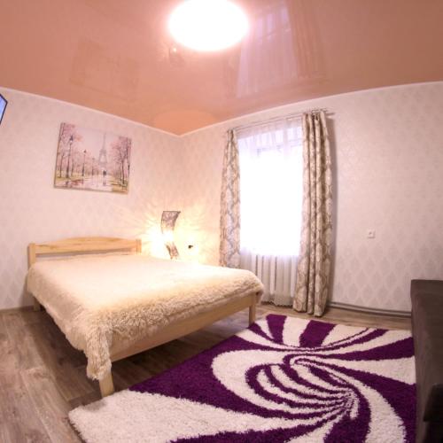 克洛佩夫尼茨基Шевченко двор的一间卧室设有床、窗户和地毯。