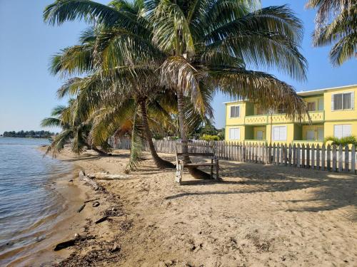 丹格里加Pal's on the beach - Dangriga, Belize的两棵棕榈树和一座黄色建筑的海滩