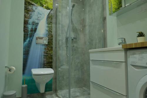 比亚瓦波德拉斯卡Apartament Soft 16的带淋浴和卫生间的浴室。