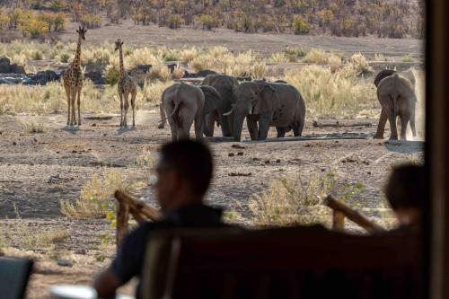 OtjovasanduHobatere lodge的一群长颈鹿和大象在野外