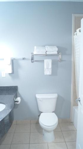 奥利夫布兰奇橄榄枝木兰套房酒店的浴室配有白色卫生间和盥洗盆。
