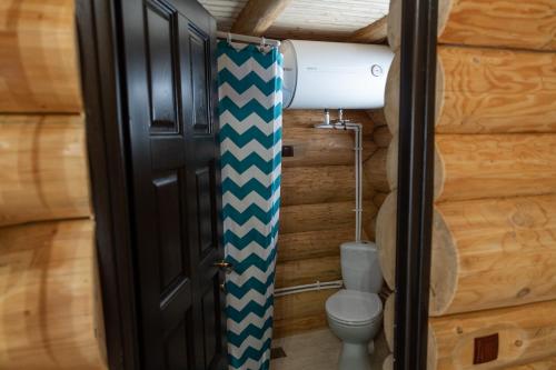 CosteştiPensiunea Lupul Dacic的小木屋内带卫生间的小浴室