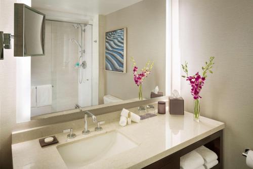 伯林格姆旧金山机场凯悦酒店的一间带水槽和大镜子的浴室