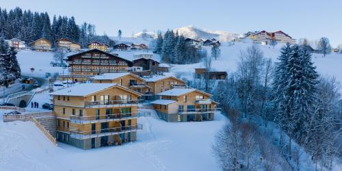 冬天的Panorama Lodge Schladming