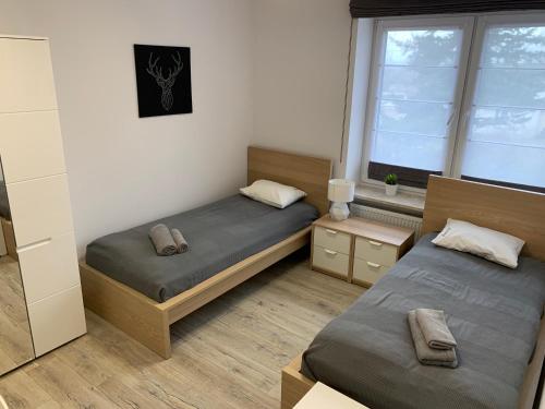 斯卡日斯科-卡缅纳Pokoje ANTRACYT的一间卧室设有两张床和窗户。