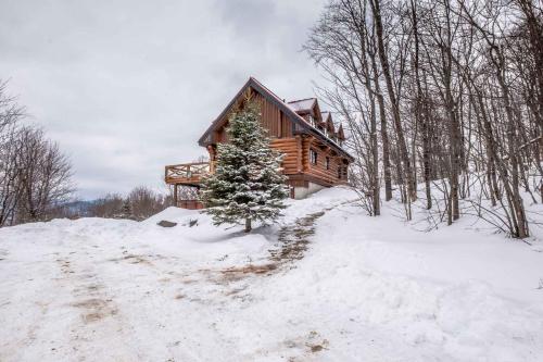 苏必利尔湖RCNT Chalets Mont-Tremblant的雪中带圣诞树的小木屋