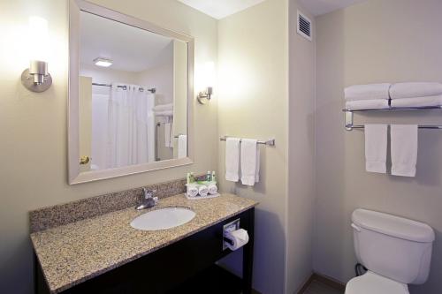 大急流城北格兰德拉匹兹快捷假日&套房酒店的一间带水槽、卫生间和镜子的浴室