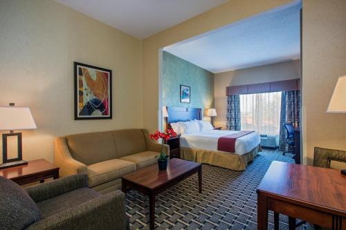 Holiday Inn Express Hotel & Suites Youngstown North-Warren/Niles, an IHG Hotel的休息区