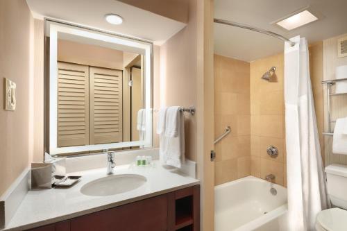 奥斯汀奥斯汀甸镇湖假日酒店的一间带水槽、浴缸和卫生间的浴室