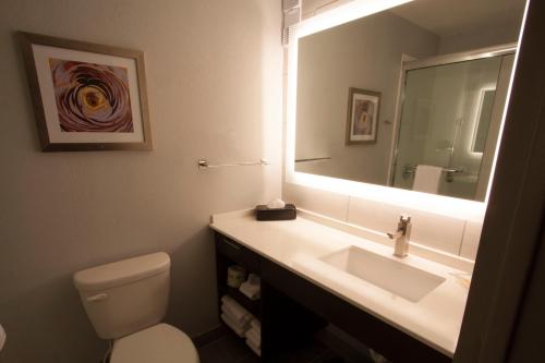 亚历山德里亚Holiday Inn Alexandria - Downtown, an IHG Hotel的一间带水槽、卫生间和镜子的浴室