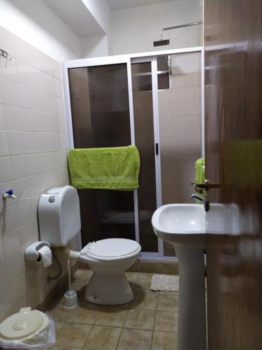 波萨达斯Departamento centrico en Posadas, garage opcional D4的一间带卫生间和水槽的浴室