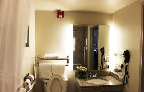 亚特兰大Holiday Inn Hotel Atlanta-Northlake, a Full Service Hotel的一间带卫生间、水槽和电话的浴室