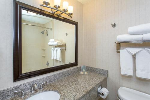布卢明顿Holiday Inn Bloomington-University Area, an IHG Hotel的浴室配有盥洗盆、镜子和毛巾
