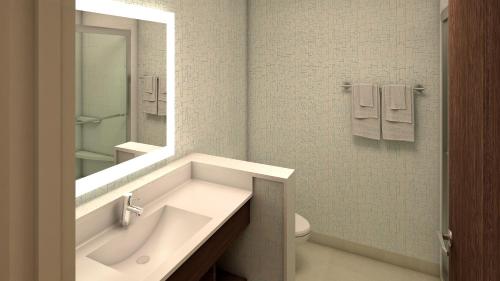 西孟菲斯Holiday Inn Express & Suites West Memphis, an IHG Hotel的一间带水槽、卫生间和镜子的浴室