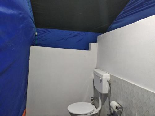 洪达尔Royal Riders Camp的一间带卫生间和蓝色帐篷的小浴室