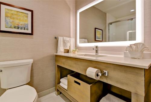 楠帕Holiday Inn - Nampa, an IHG Hotel的浴室设有卫生间和带镜子的盥洗盆
