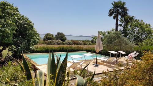 卡利亚里Santa Igia - Country House的花园内的游泳池,配有椅子和遮阳伞