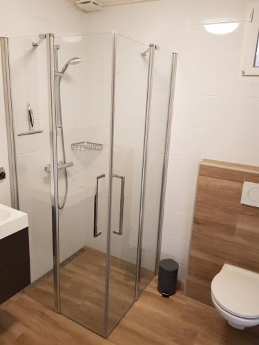 朱丽安娜多普Vakantiewoning Koegras的一间带卫生间的浴室内的玻璃淋浴间