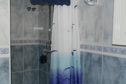 圣米格尔德萨利纳斯Casa Antony的蓝色和白色的淋浴帘