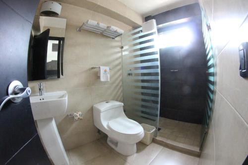 巴亚尔塔港马勒孔波多诺伏广场酒店的浴室配有卫生间、盥洗盆和淋浴。