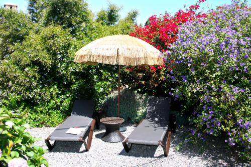 埃尔帕索El Morro的庭院设有两把椅子和一把遮阳伞,鲜花盛开