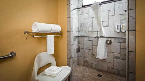 芒特艾里Bryson Inn的浴室配有淋浴和带毛巾的卫生间。