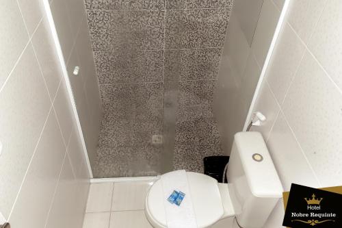 阿鲁雅Hotel Nobre Requinte的一间带卫生间和淋浴的小浴室