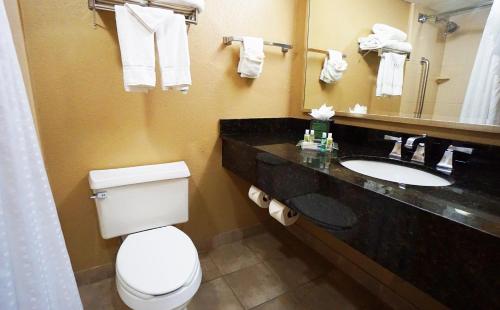科珀斯克里斯蒂科珀斯克里斯蒂市区滨海假日酒店的浴室设有卫生间和带镜子的盥洗盆