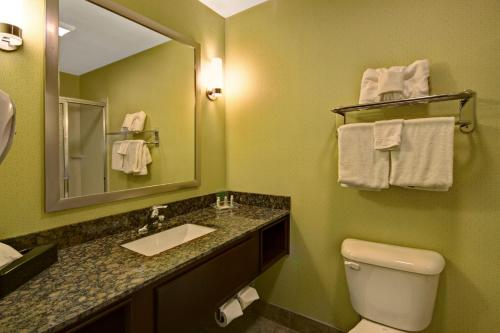 克里斯琴斯堡布莱克斯堡克里斯琴斯堡假日酒店的一间带水槽、镜子和卫生间的浴室