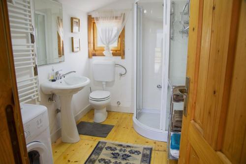 扎布利亚克Mountain Vista Chalet的浴室配有卫生间、淋浴和盥洗盆。