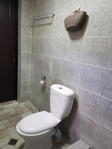 梅斯蒂亚Rustic Inn "Koba's Sakhli"的一间位于客房内的白色卫生间的浴室