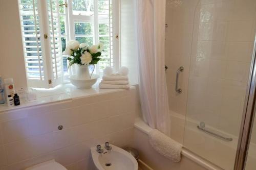 ChiselboroughBagnell Farm Cottage的一间带水槽和卫生间的浴室以及窗户。