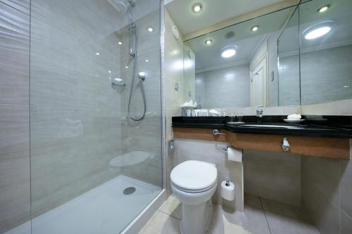 都柏林溪流酒店的带淋浴、卫生间和盥洗盆的浴室