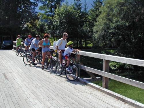 在Accommodation Destina, LAKE BOHINJ内部或周边骑自行车