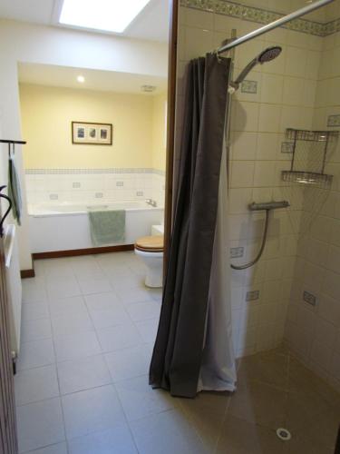 奇丁福尔德Prestwick Byre的带淋浴、浴缸和卫生间的浴室