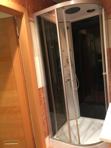 维也纳新城Nina Apartment的浴室里设有玻璃门淋浴