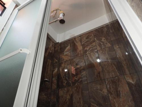 圣佩德罗拉拉古纳Hotel Adulam的浴室里设有玻璃门淋浴