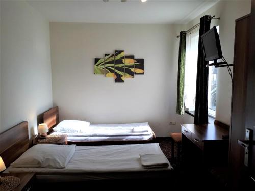 沃尔什滕Motel Orion Wolsztyn的一间卧室配有两张床和电视。