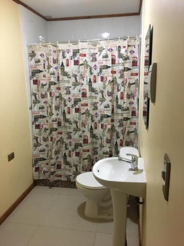 De CauquenesHOSTAL CAUQUENES的一间带卫生间和淋浴帘的浴室