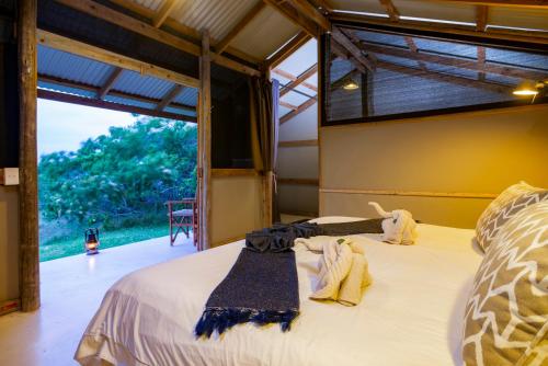 MabibiGugulesizwe Camp的一张大床,位于带大窗户的房间里