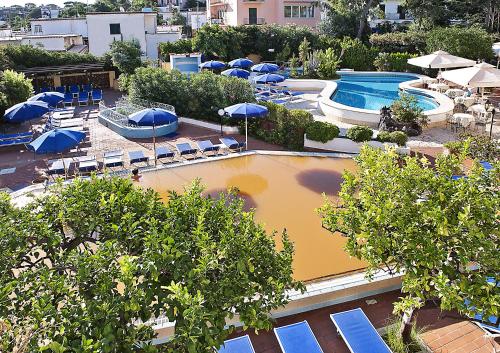 伊斯基亚皇家温泉酒店的享有带椅子和遮阳伞的游泳池的上方景致