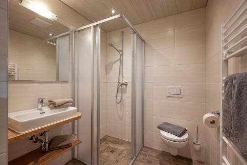 迈尔霍芬昆比奇霍夫旅馆的带淋浴、盥洗盆和卫生间的浴室